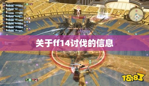 关于ff14讨伐的信息