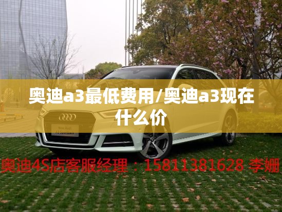奥迪a3最低费用/奥迪a3现在什么价