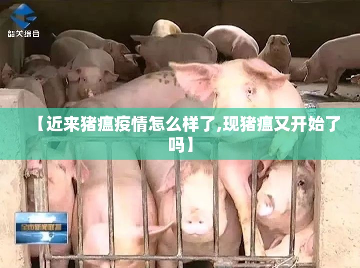 【近来猪瘟疫情怎么样了,现猪瘟又开始了吗】 【近来猪瘟疫情怎么样了,现猪瘟又开始了吗】