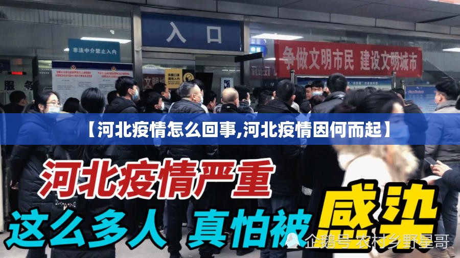 【河北疫情怎么回事,河北疫情因何而起】