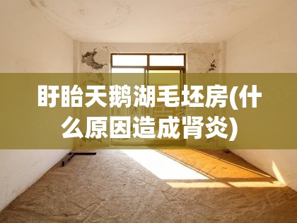 盱眙天鹅湖毛坯房(什么原因造成肾炎) 盱眙天鹅湖毛坯房(什么原因造成肾炎)