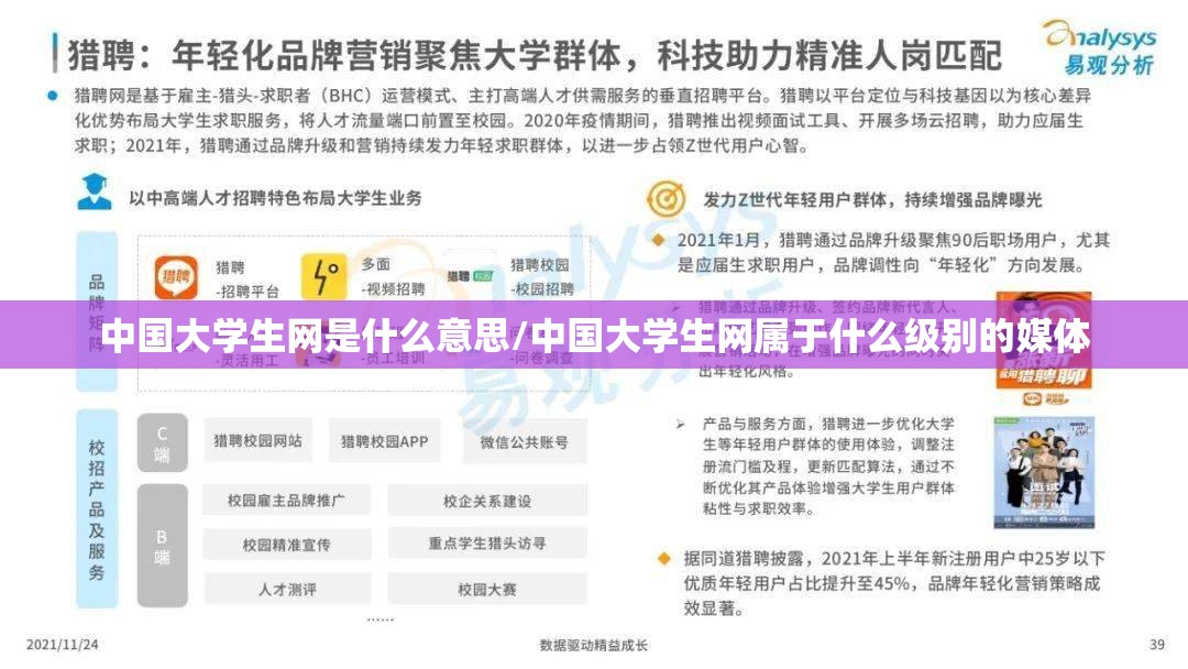 中国大学生网是什么意思/中国大学生网属于什么级别的媒体
