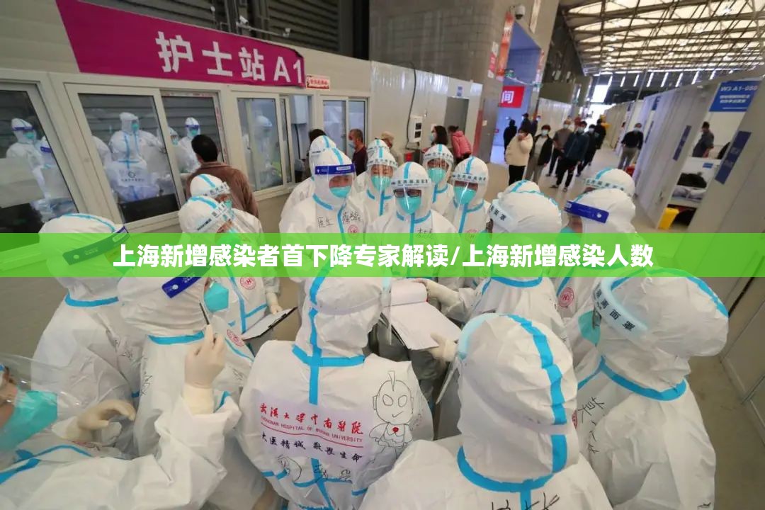上海新增感染者首下降专家解读/上海新增感染人数