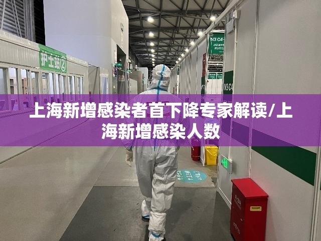 上海新增感染者首下降专家解读/上海新增感染人数