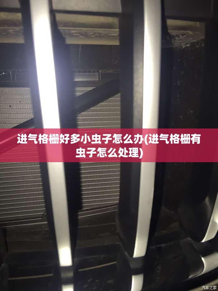 进气格栅好多小虫子怎么办(进气格栅有虫子怎么处理) 进气格栅好多小虫子怎么办(进气格栅有虫子怎么处理)