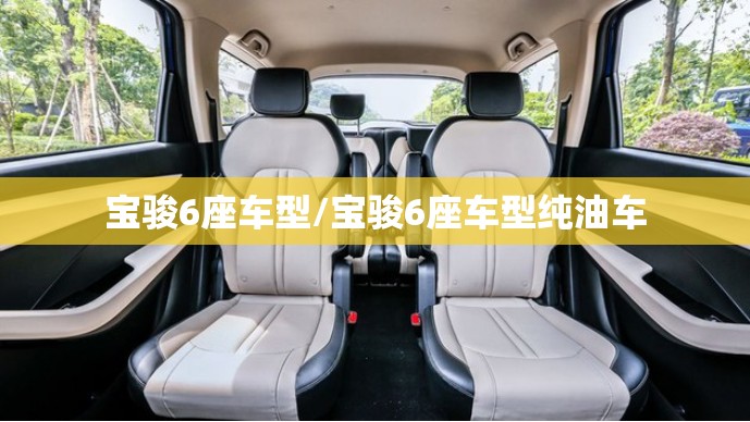 宝骏6座车型/宝骏6座车型纯油车 宝骏6座车型/宝骏6座车型纯油车