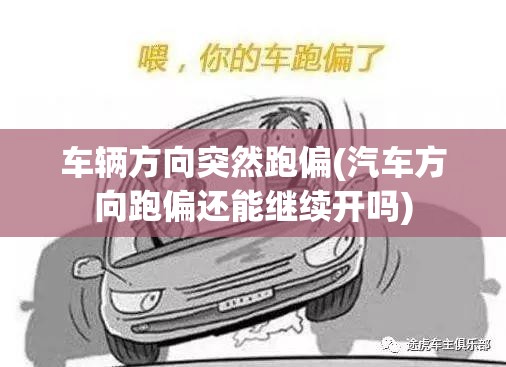 车辆方向突然跑偏(汽车方向跑偏还能继续开吗)