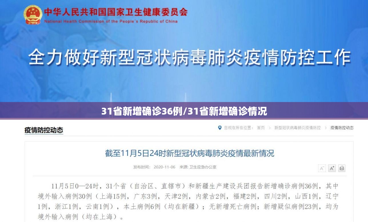 31省新增确诊36例/31省新增确诊情况