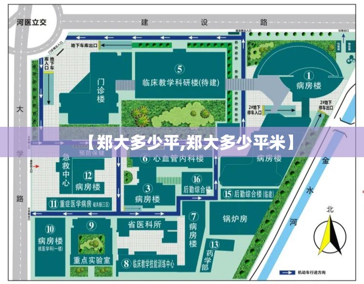 【郑大多少平,郑大多少平米】