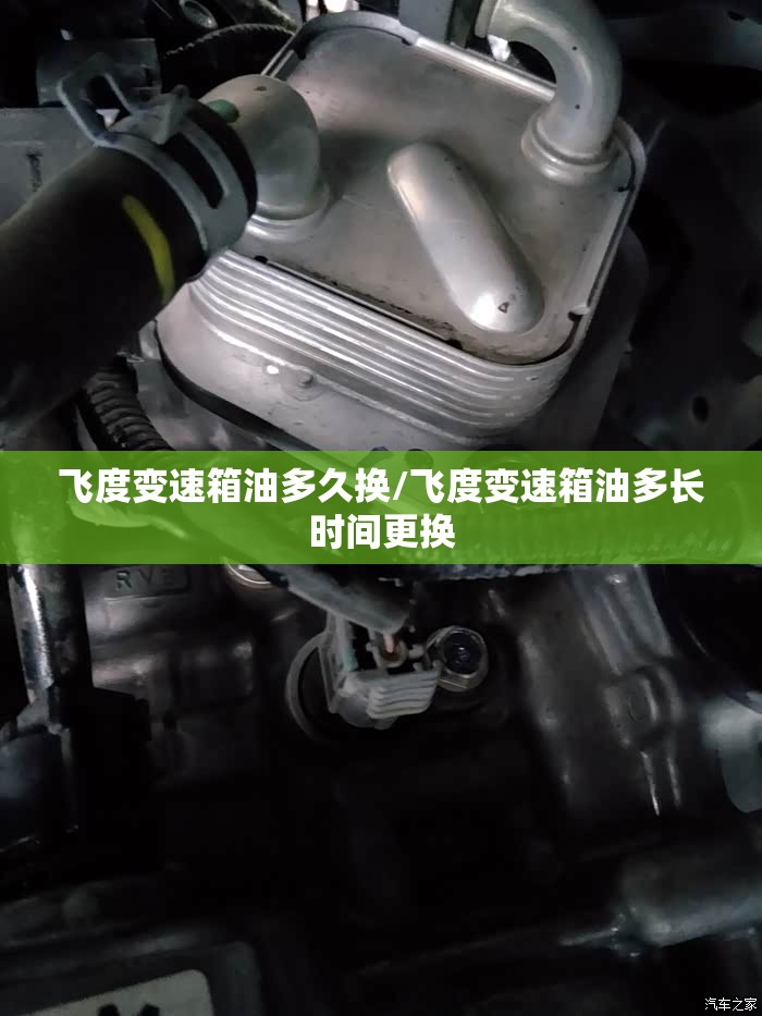 飞度变速箱油多久换/飞度变速箱油多长时间更换 飞度变速箱油多久换/飞度变速箱油多长时间更换