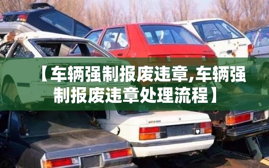 【车辆强制报废违章,车辆强制报废违章处理流程】