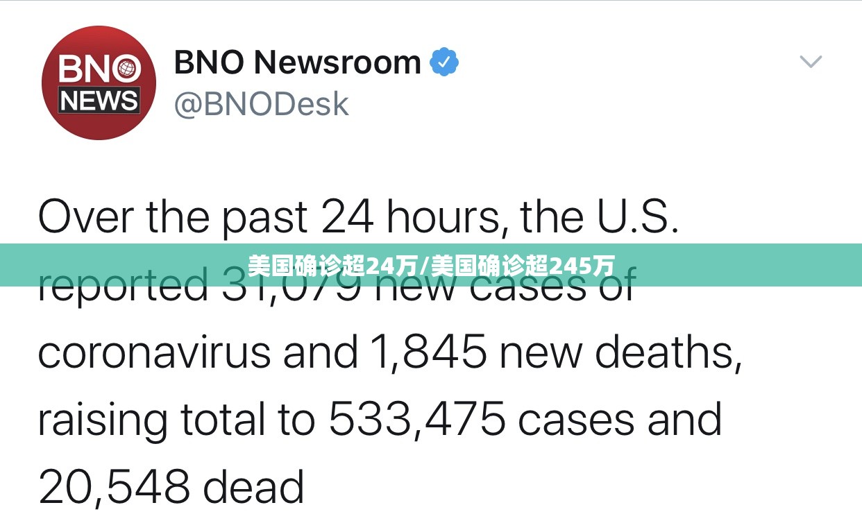 美国确诊超24万/美国确诊超245万