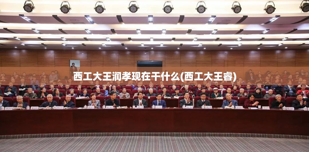 西工大王润孝现在干什么(西工大王睿)