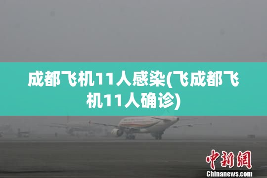 成都飞机11人感染(飞成都飞机11人确诊)