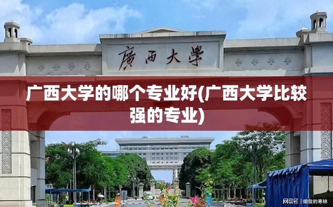 广西大学的哪个专业好(广西大学比较强的专业) 广西大学的哪个专业好(广西大学比较强的专业)