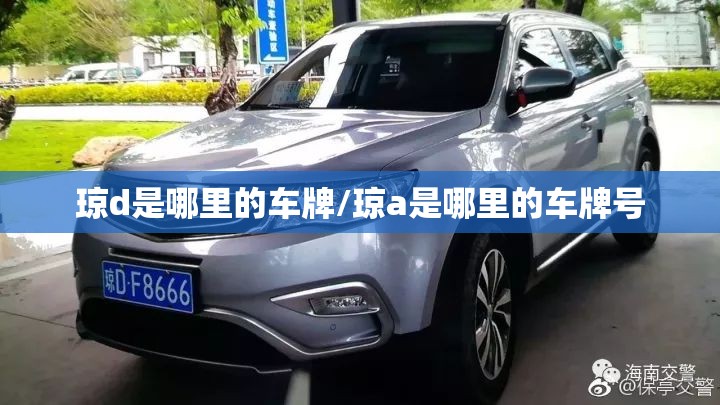琼d是哪里的车牌/琼a是哪里的车牌号 琼d是哪里的车牌/琼a是哪里的车牌号