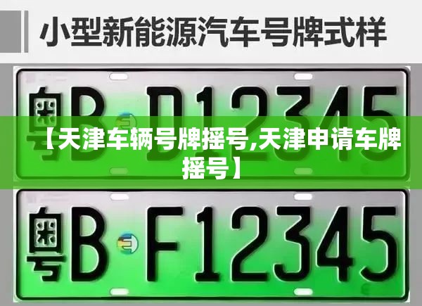【天津车辆号牌摇号,天津申请车牌摇号】
