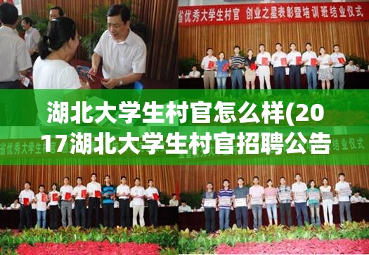 湖北大学生村官怎么样(2017湖北大学生村官招聘公告)