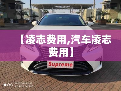 【凌志费用,汽车凌志费用】