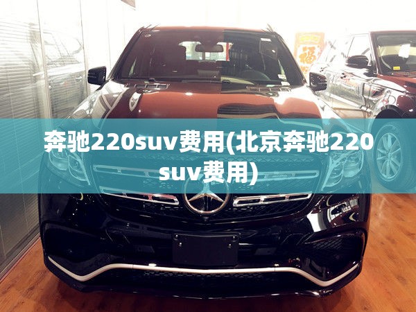 奔驰220suv费用(北京奔驰220suv费用)