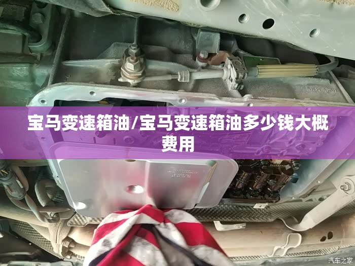 宝马变速箱油/宝马变速箱油多少钱大概费用 宝马变速箱油/宝马变速箱油多少钱大概费用