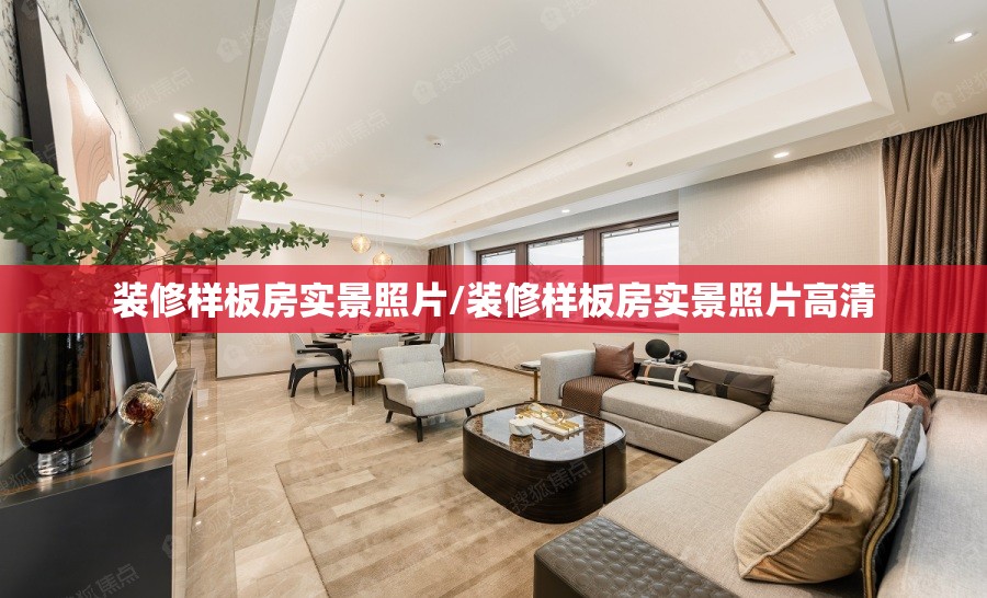 装修样板房实景照片/装修样板房实景照片高清