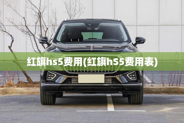 红旗hs5费用(红旗hS5费用表)
