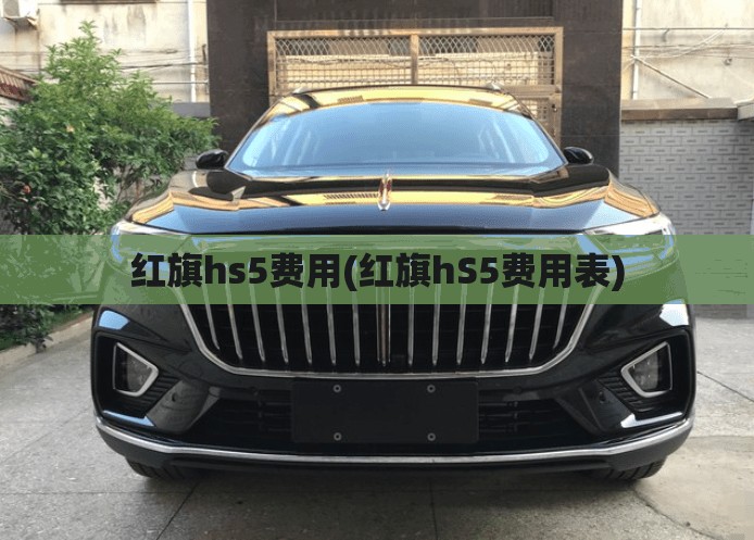 红旗hs5费用(红旗hS5费用表)