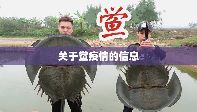 关于鲎疫情的信息 关于鲎疫情的信息