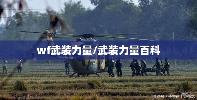 wf武装力量/武装力量百科 wf武装力量/武装力量百科