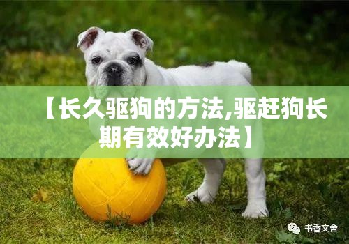 【长久驱狗的方法,驱赶狗长期有效好办法】 【长久驱狗的方法,驱赶狗长期有效好办法】