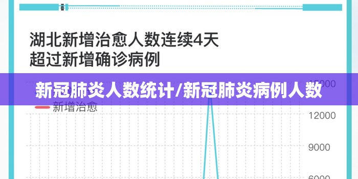 新冠肺炎人数统计/新冠肺炎病例人数