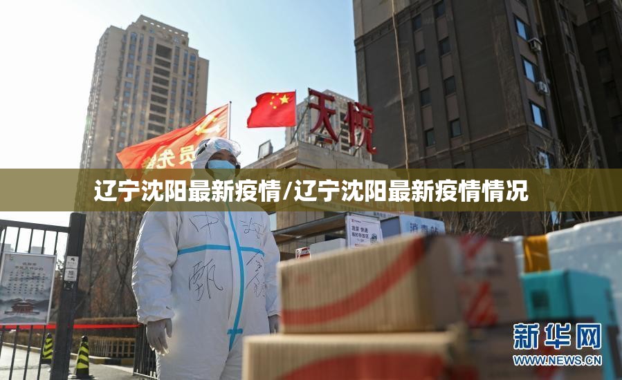辽宁沈阳最新疫情/辽宁沈阳最新疫情情况