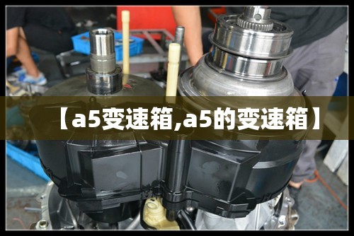 【a5变速箱,a5的变速箱】 【a5变速箱,a5的变速箱】