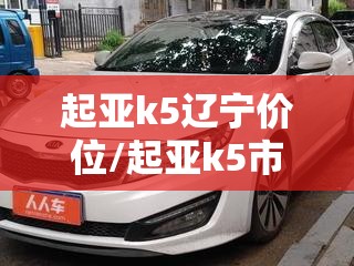起亚k5辽宁价位/起亚k5市场价