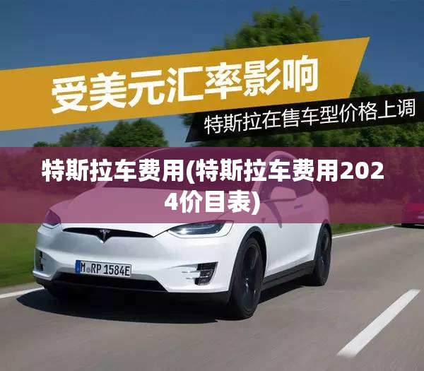 特斯拉车费用(特斯拉车费用2024价目表)