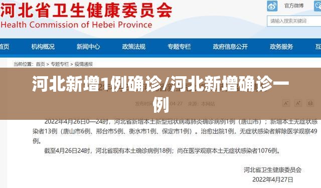河北新增1例确诊/河北新增确诊一例