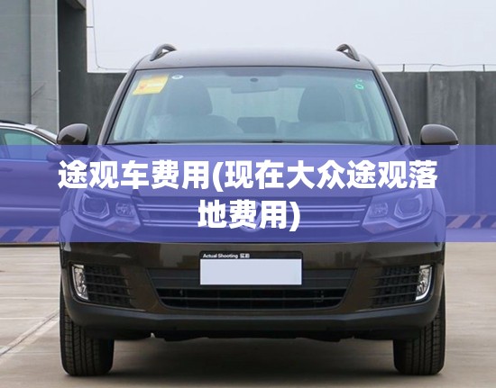 途观车费用(现在大众途观落地费用) 途观车费用(现在大众途观落地费用)