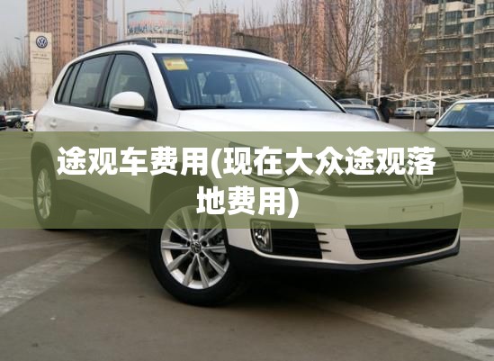 途观车费用(现在大众途观落地费用) 途观车费用(现在大众途观落地费用)