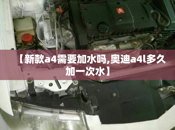 【新款a4需要加水吗,奥迪a4l多久加一次水】 【新款a4需要加水吗,奥迪a4l多久加一次水】