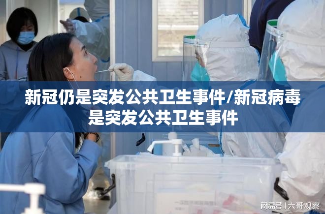 新冠仍是突发公共卫生事件/新冠病毒是突发公共卫生事件