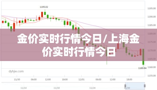 金价实时行情今日/上海金价实时行情今日 金价实时行情今日/上海金价实时行情今日