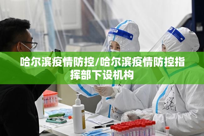 哈尔滨疫情防控/哈尔滨疫情防控指挥部下设机构