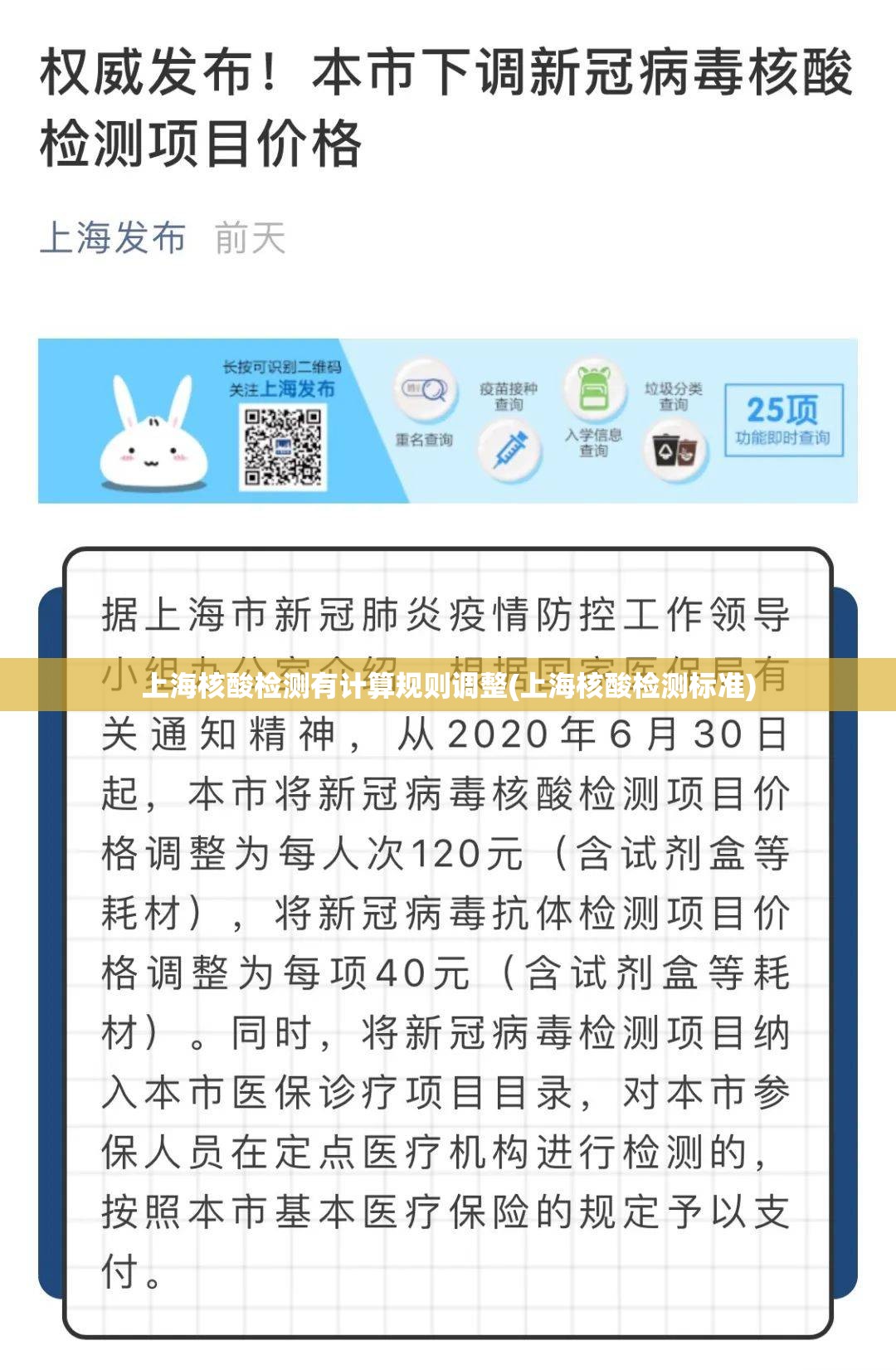 上海核酸检测有计算规则调整(上海核酸检测标准) 上海核酸检测有计算规则调整(上海核酸检测标准)
