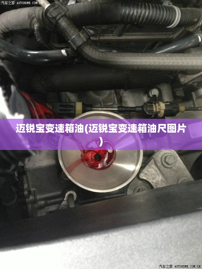 迈锐宝变速箱油(迈锐宝变速箱油尺图片)