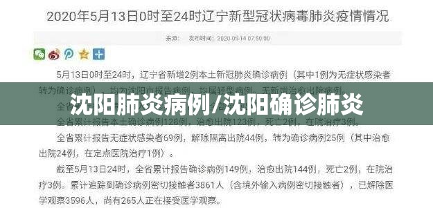 沈阳肺炎病例/沈阳确诊肺炎 沈阳肺炎病例/沈阳确诊肺炎