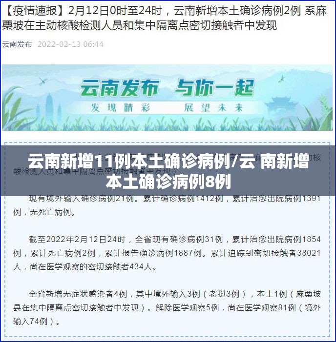 云南新增11例本土确诊病例/云 南新增本土确诊病例8例 云南新增11例本土确诊病例/云 南新增本土确诊病例8例