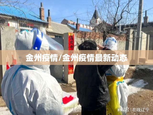 金州疫情/金州疫情最新动态