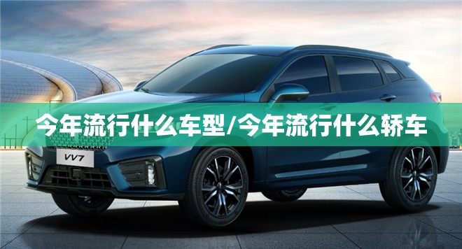 今年流行什么车型/今年流行什么轿车 今年流行什么车型/今年流行什么轿车