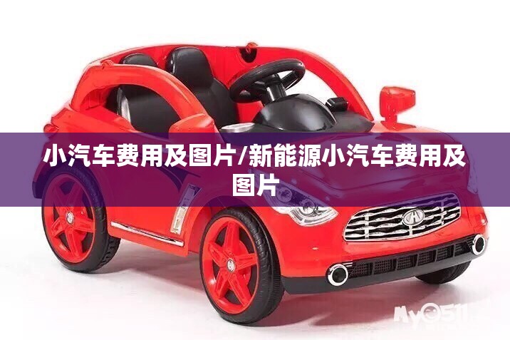 小汽车费用及图片/新能源小汽车费用及图片